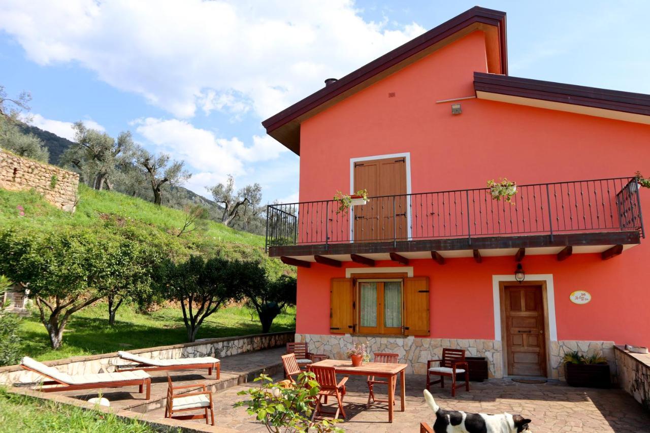 B&B La Casa Del Sole Controne Ngoại thất bức ảnh